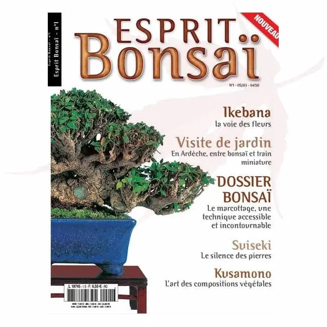 esprit bonsai numero 1 umi zen bonsai shop