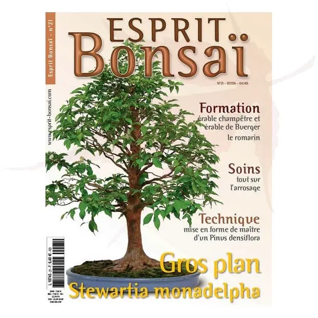 Esprit Bonsai n°21