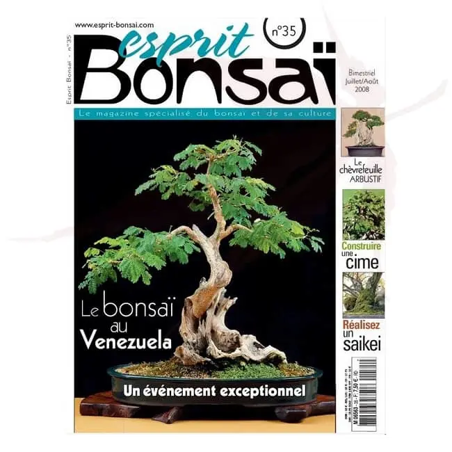esprit bonsai numero 35 umi zen bonsai