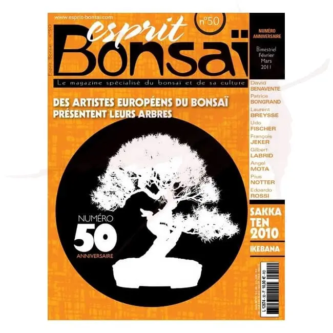 esprit bonsai numero 50 umi zen bonsai