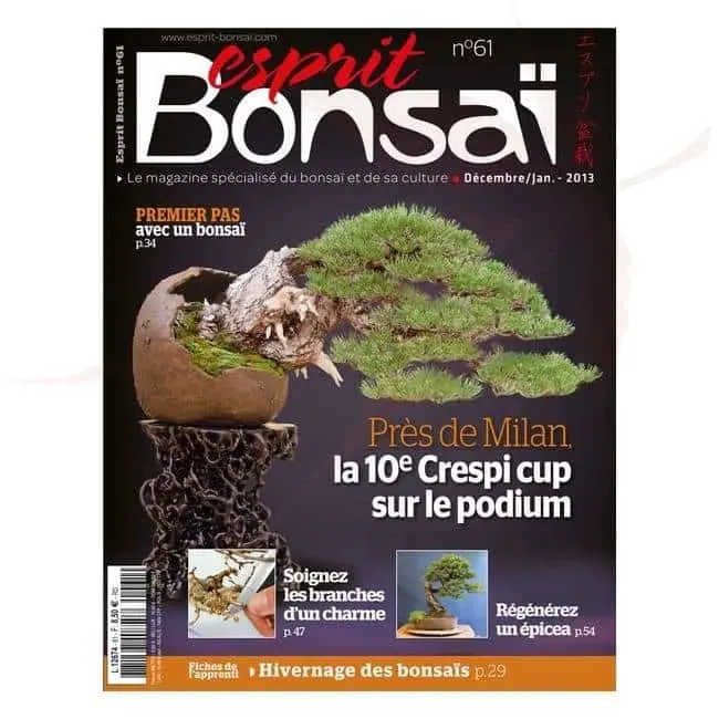 Esprit Bonsai n°61