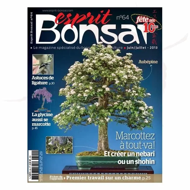 Esprit Bonsai n°64