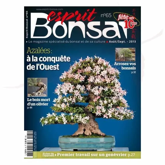 Esprit Bonsai n°65