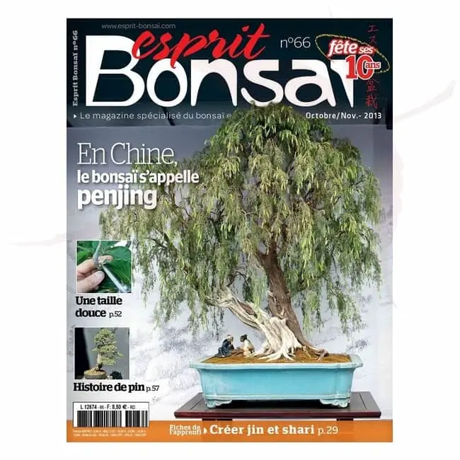 Esprit Bonsai n°66