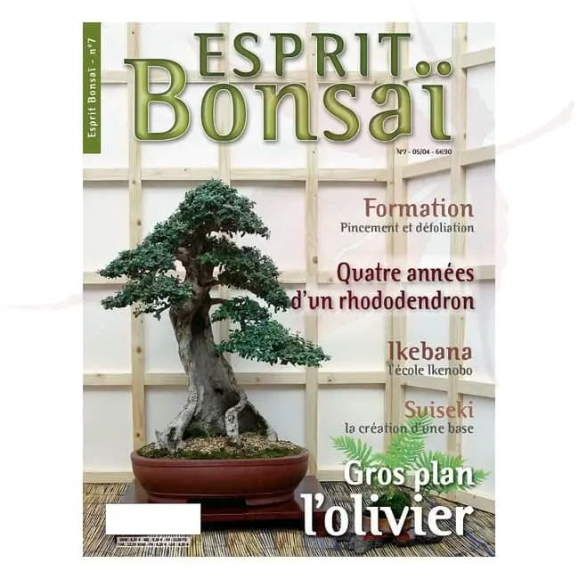 esprit bonsai numero 7 umi zen bonsai shop