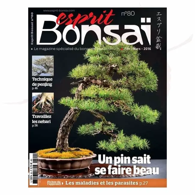 Esprit Bonsai n°80