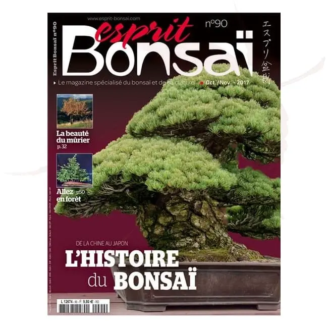 esprit bonsai numero 90 umi zen bonsai