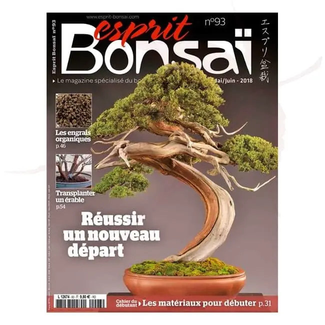 esprit bonsai numero 93 umi zen bonsai