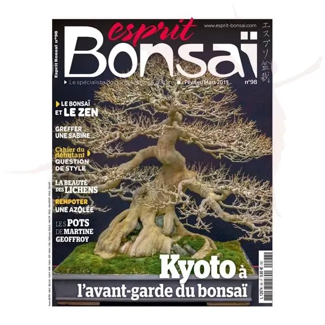 esprit bonsai numero 98 umi zen bonsai