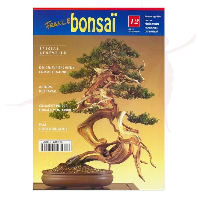 france bonsai n°12 umi zen bonsai