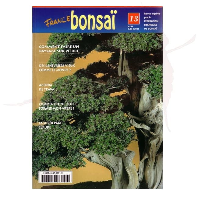 france bonsai n°13 umi zen bonsai