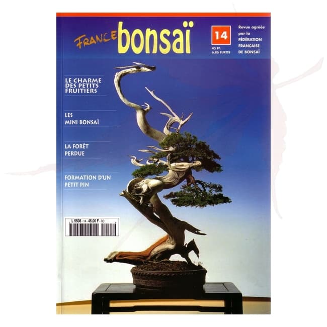 france bonsai n°14 umi zen bonsai