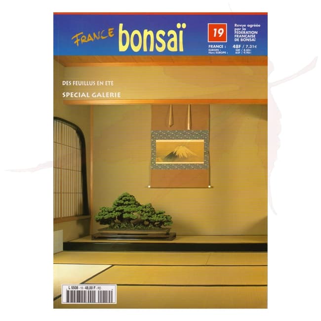 france bonsai n°19 umi zen bonsai