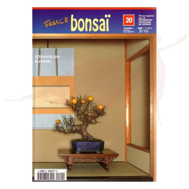 france bonsai n°20 umi zen bonsai