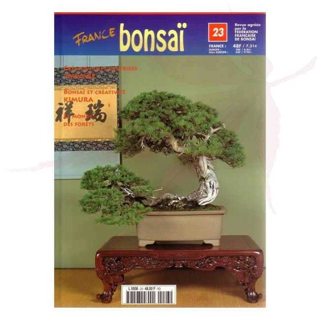 france bonsai n°23 umi zen bonsai