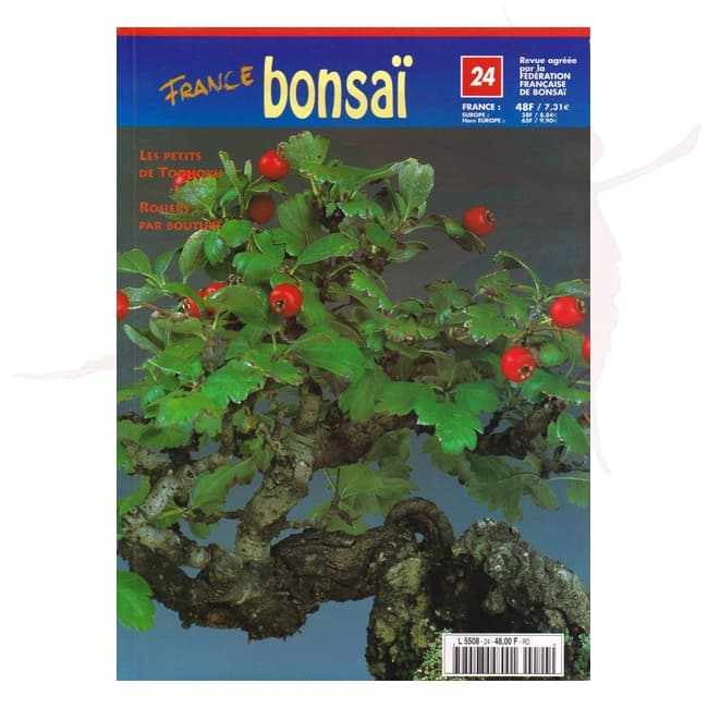 France Bonsai n°24