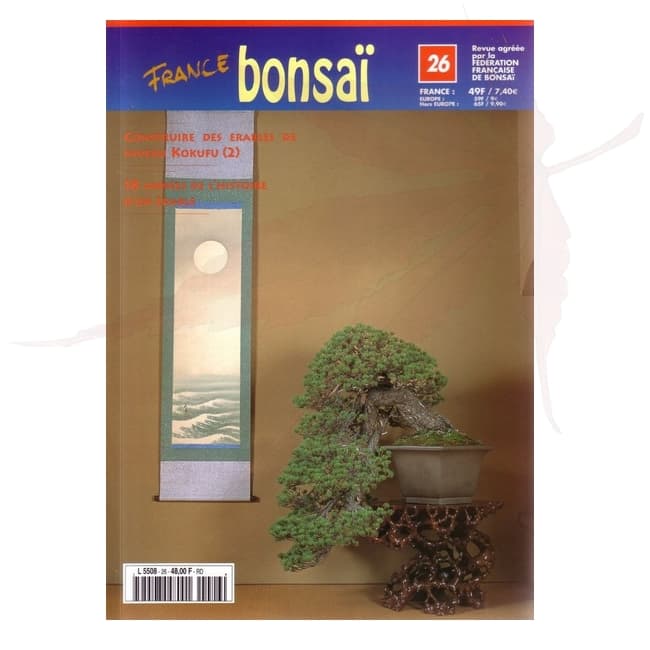 france bonsai n°26 umi zen bonsai