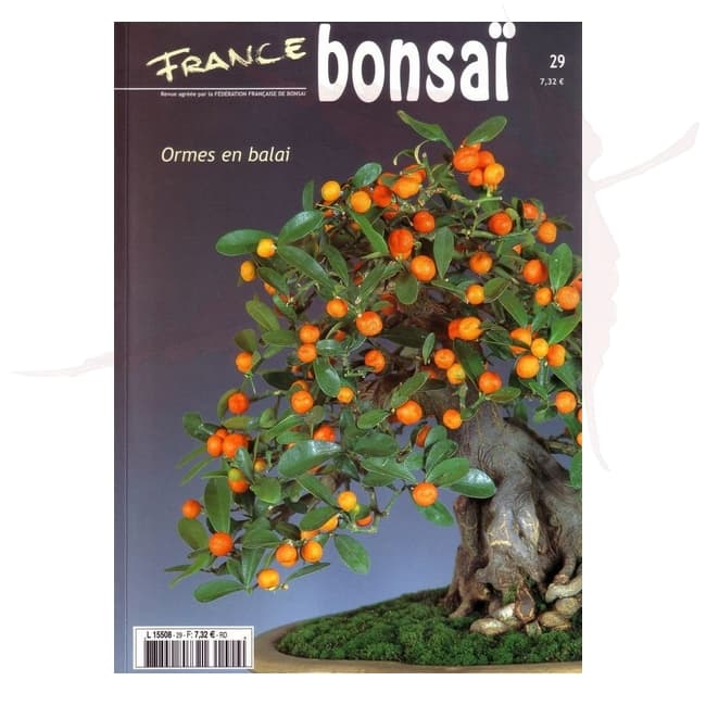 France Bonsai n°29