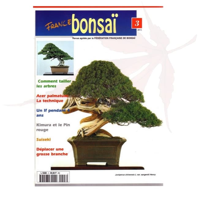 France Bonsai n°3