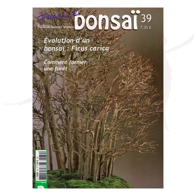 france bonsai n°39 umi zen bonsai