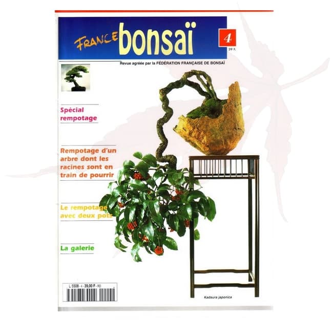 france bonsai n°4 umi zen bonsai