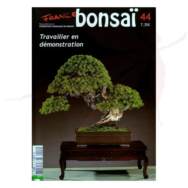 france bonsai numéro 44 umi zen bonsai