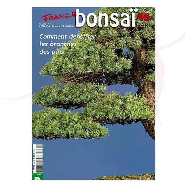 France Bonsai n°46