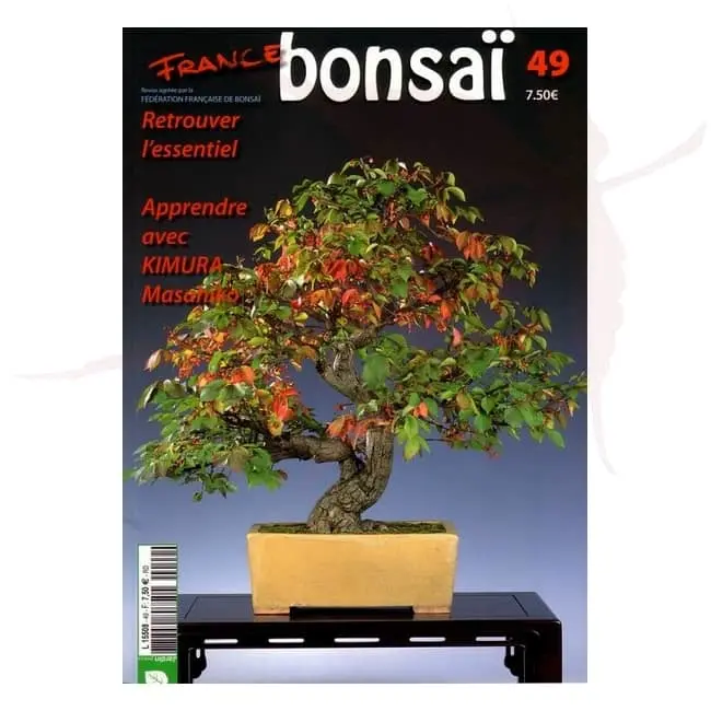 france bonsai numéro 49 umi zen bonsai