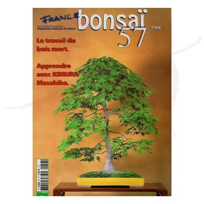 france bonsai numéro 57 umi zen bonsai