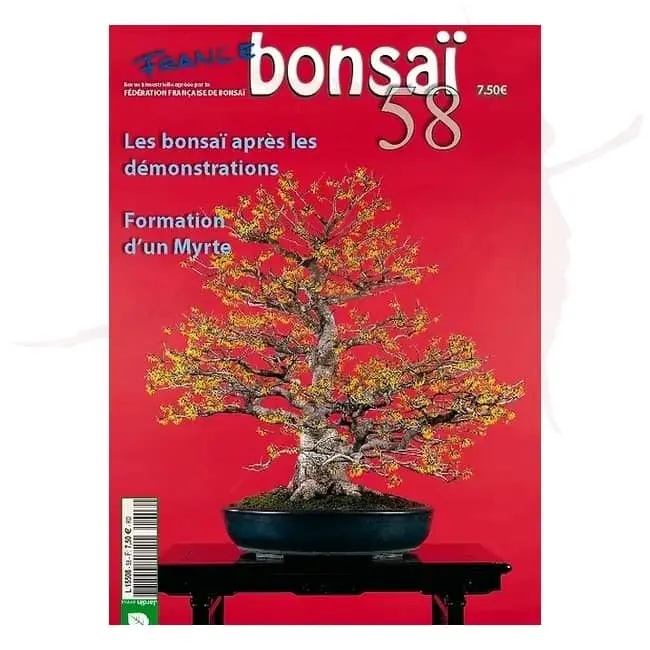 france bonsai numéro 58 umi zen bonsai