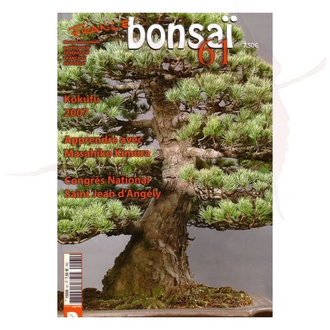 france bonsai n°61 umi zen bonsai