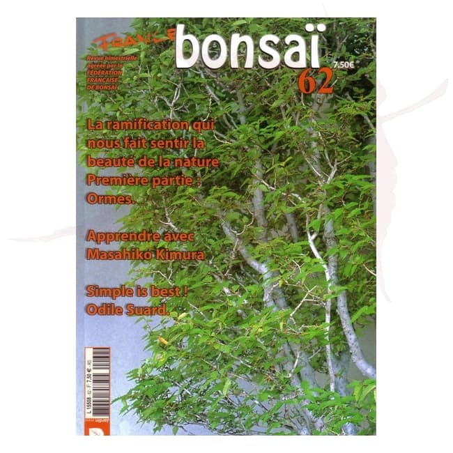 france bonsai n°62 umi zen bonsai