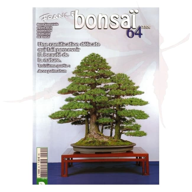 france bonsai n°64 umi zen bonsai