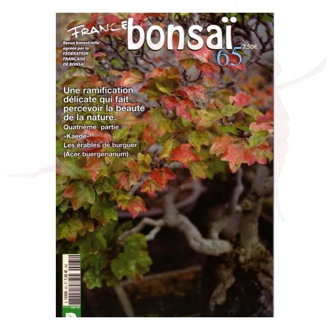 France Bonsai n°65