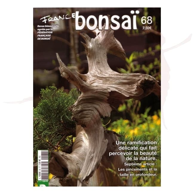 france bonsai n°68 umi zen bonsai