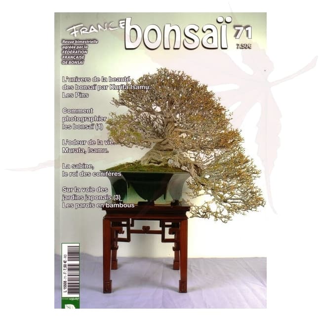 france bonsai n°71 umi zen bonsai