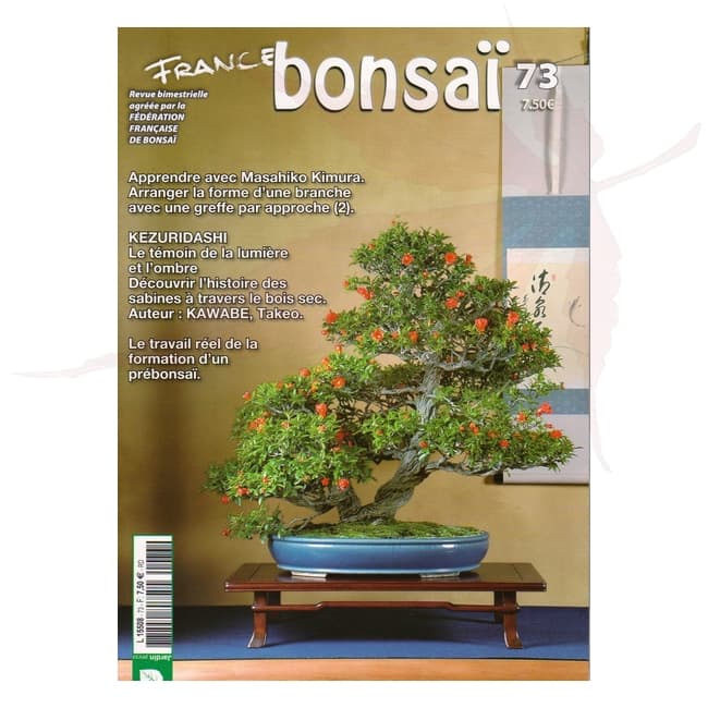 france bonsai n°73 umi zen bonsai