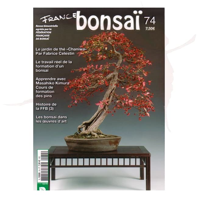 france bonsai n°74 umi zen bonsai