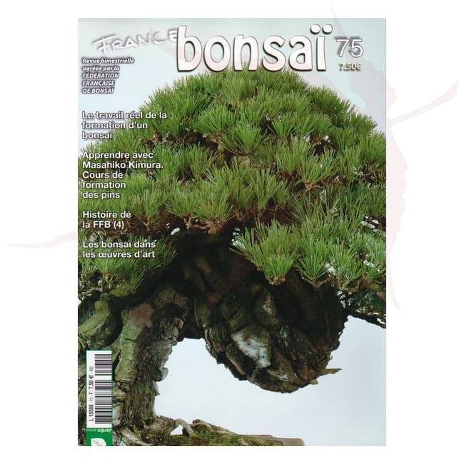 france bonsai n°75 umi zen bonsai