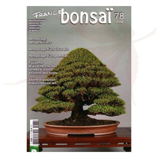 france bonsai n°78 umi zen bonsai