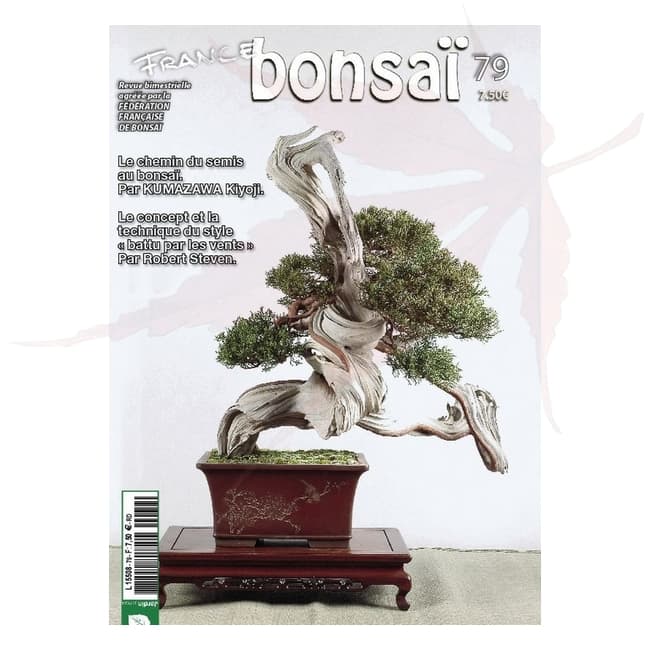 france bonsai n°79 umi zen bonsai