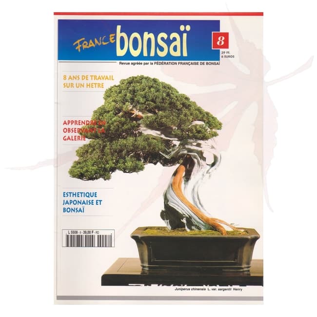 france bonsai n°8 umi zen bonsai