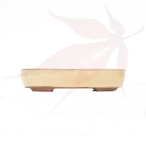 Pot à bonsai n°119 – 16.5x13x3.5