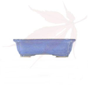 Pot à bonsai n°122 – 19x14x5.5