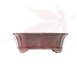 Pot à bonsai n°124 – 19.5×15.5×6.5