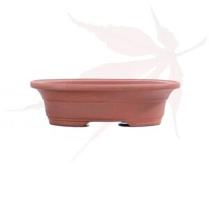 Pot à bonsai n°49 – 15×11.5×4