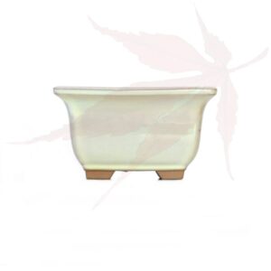 Pot à bonsai n°83 – 10.5x8x6