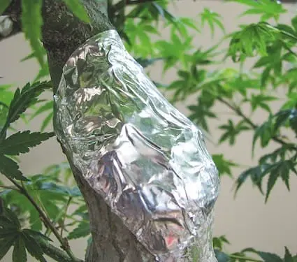 Aluminium adhésif umi zen bonsai