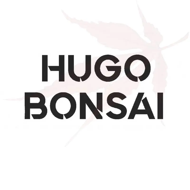 Outils Hugo Bonsai (Chine)