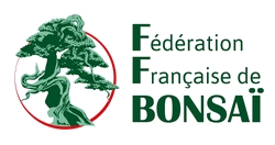 umi zen bonsai partenaire ffb